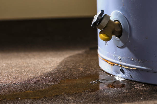 Best 24/7 water damage repair  in Highland Park, NJ