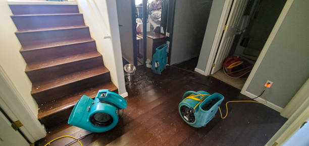 Best Carpet water damage restoration  in Highland Park, NJ