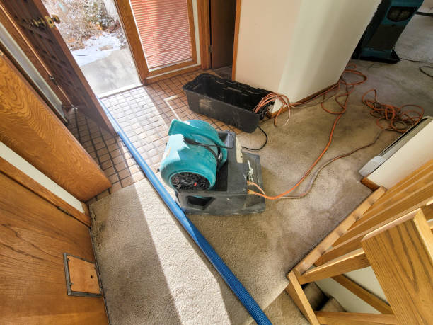 Best Carpet water damage restoration  in Highland Park, NJ