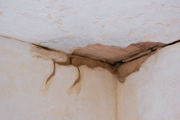 Best Professional water damage repair  in Highland Park, NJ
