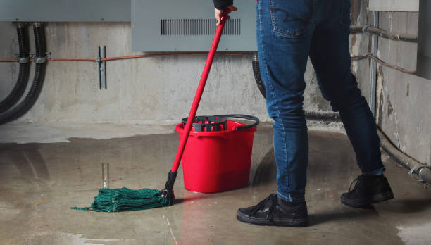 Best Water damage mitigation services  in Highland Park, NJ