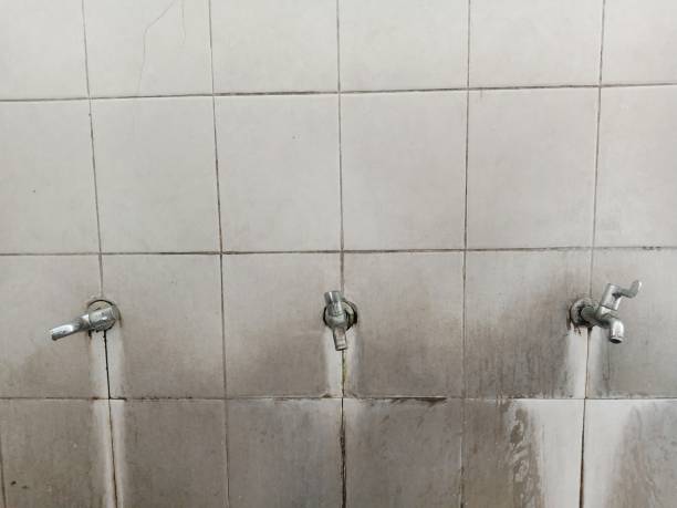 Best Ceiling water damage repair  in Highland Park, NJ
