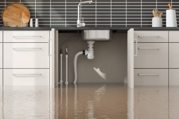 Best Residential water damage restoration  in Highland Park, NJ